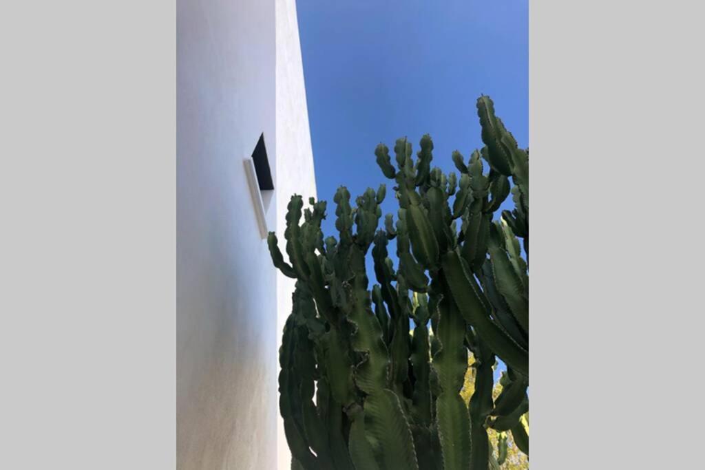 הוילה רודאלקילאר Casa Granado En Cabo De Gata מראה חיצוני תמונה